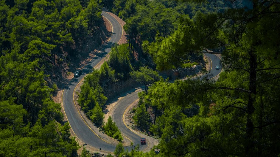 MOP adjudica tramo clave de la Carretera Austral: 18 km costarán casi $49 mil millones