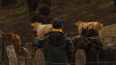 Contraloría detecta créditos irregulares en INDAP: $3.181 millones siguen morosos