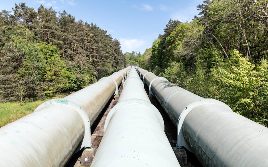 Gas argentino vuelve a Ñuble y Biobío tras superar la falla que obligó a suspender el suministro