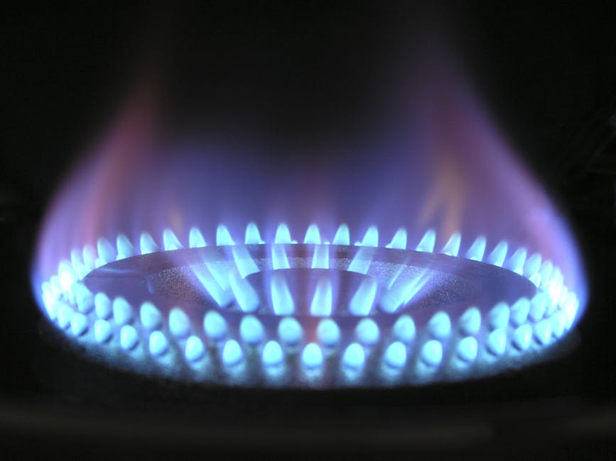 US$225 millones para gas y $100 mil al mes a pescadores: el plan Kast para contener el alza de combustibles