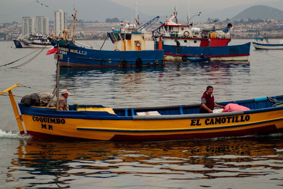 Kast retira Ley de Pesca de Boric: oposición acusa 