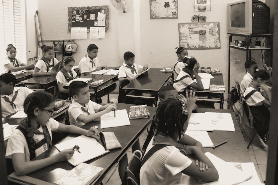 Seremi de Educación de La Araucanía en la mira por llamar 